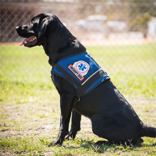 therapy dog vests for large dogs