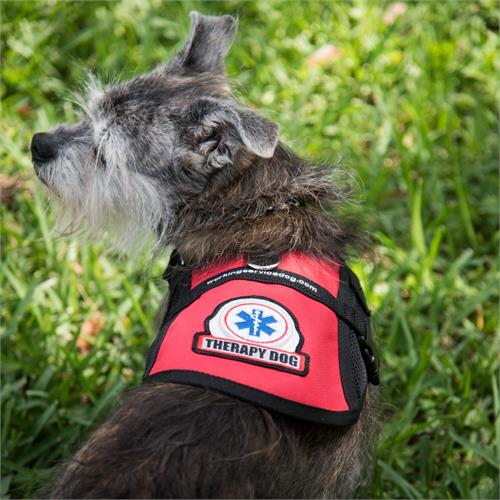 therapy dog vests for small dogs