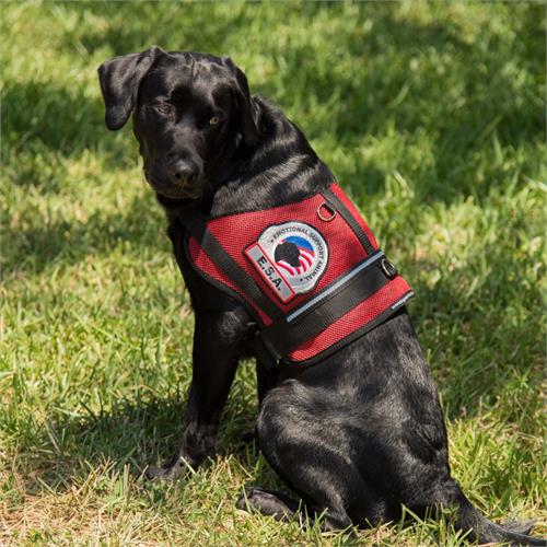 emotional support dog vest for large dogs