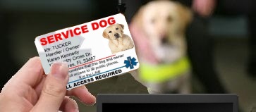 service dog identification cards