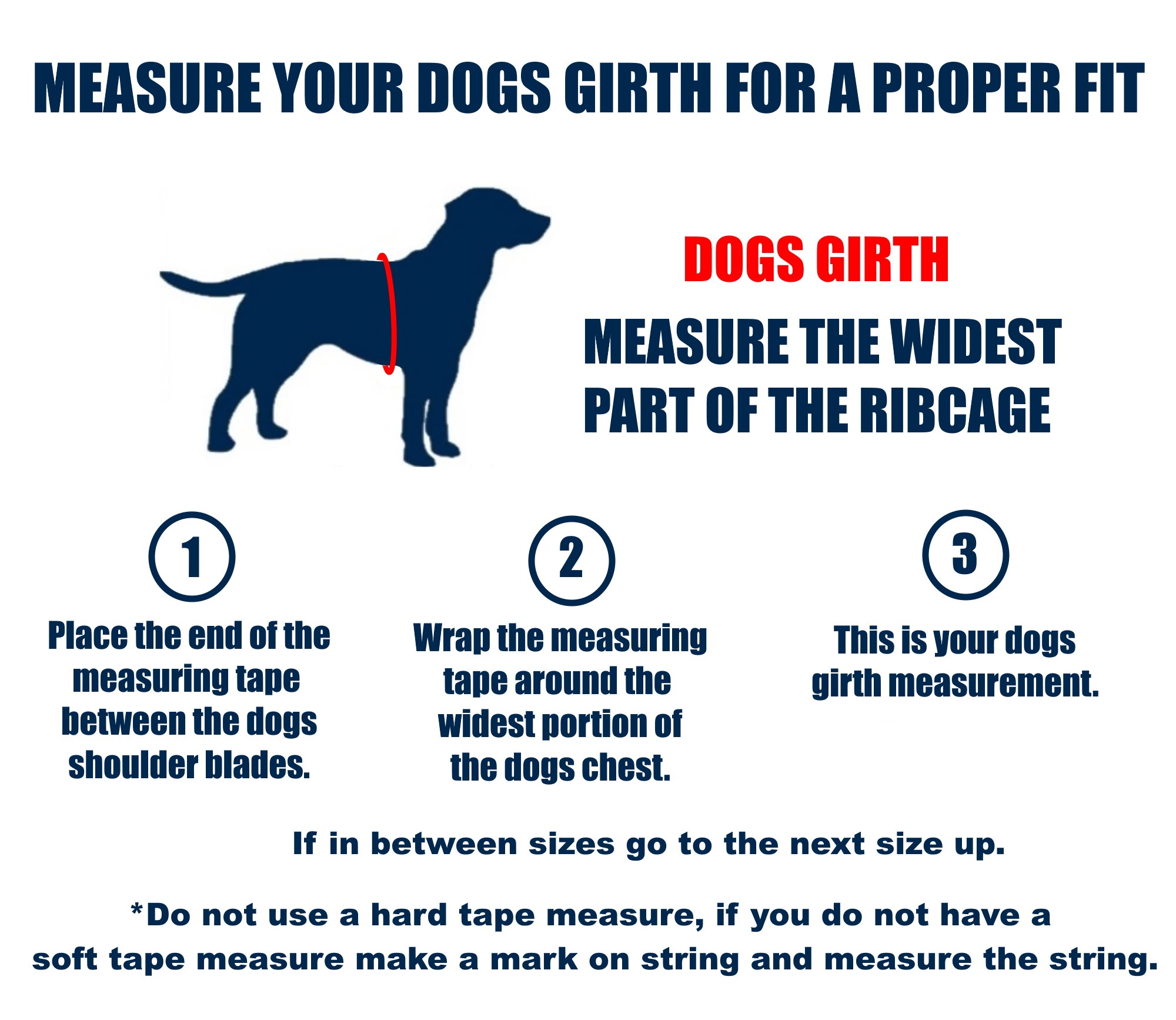 Mesure dogs girth