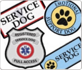 service dog vest patches