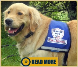 Do Service Dogs have to wear a vest