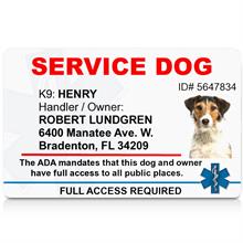 Registered service dog Identification ID card