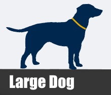 Large Dog