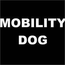 mobility dog supplies