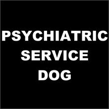 psychiatric service dog