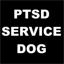 PTSD Service Dog supplies