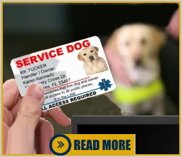 Service Dog Identification Is Not Required