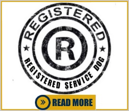 How to get Service Dog Registration