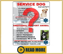 is my dog a service dog or emotional support dog