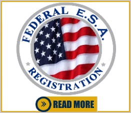 The myths and truths about Emotional Support Dog Registries