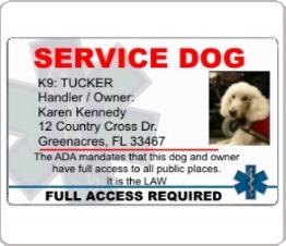 Service dog identification card with dogs photo