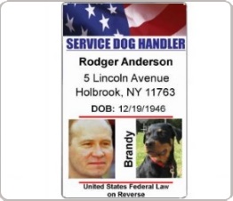 service dog handler identification card with two photos