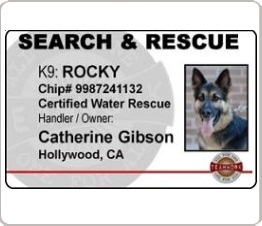 search and rescue identification card with dogs photo