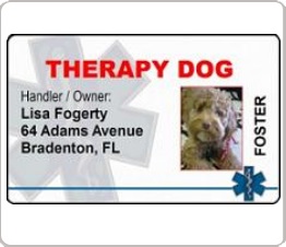therapy dog identification card