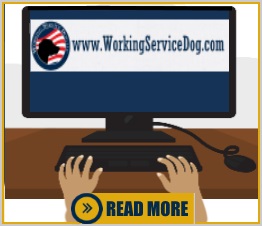 Where to buy a Service Dog Vest