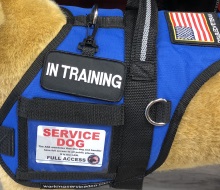 Clip On Hanging Patch Tag