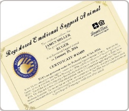 Emotional support animal ESA Certificate
