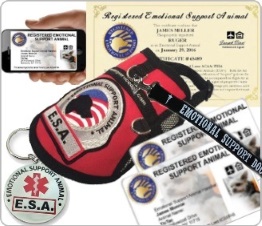 Premium emotional support animal including a vest, ID card, certificate and tag