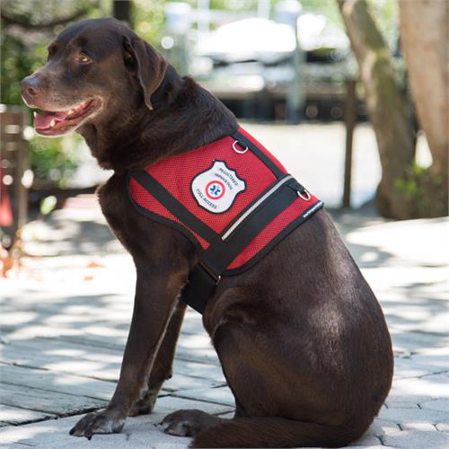 mesh service dog vest