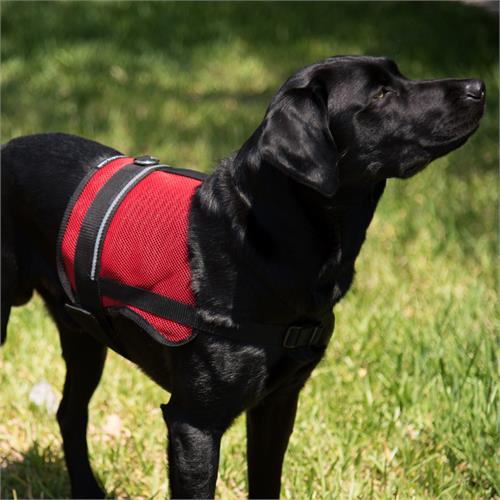 mesh service dog vest