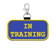 in training hanging patch clip