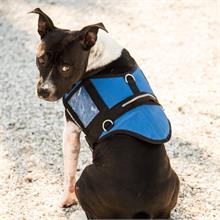 Blue Padded Service Dog Vest