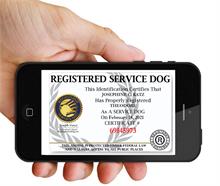 digital service dog certificate