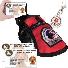 Deluxe Emotional Support Animal Kit