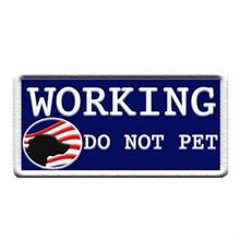 WORKING DO NOT PET  Patch