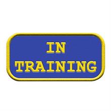 In Training Patch