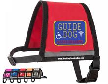 Guide Dog Vest