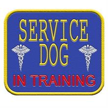 service dog in training patch