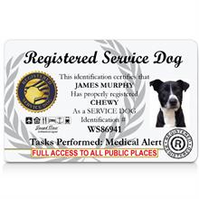 Registered Service Dog ID card