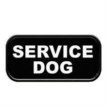 Service Dog Patch