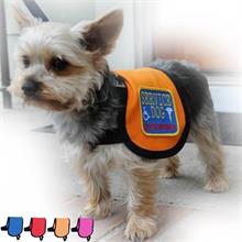 Service dog vest for small dogs