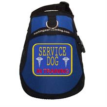 service dog in training kit