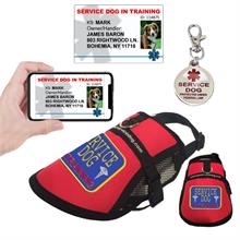 service dog in training kit