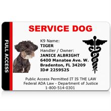 Service Dog ID Card