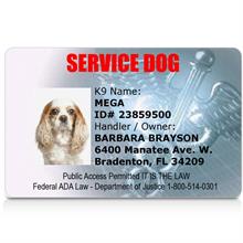Service Dog ID Card