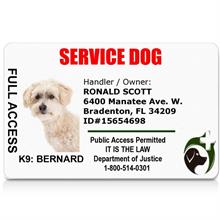  Service Dog ID Card