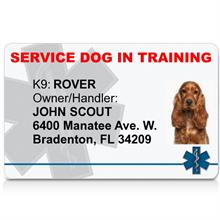 Service Dog In Training ID Card