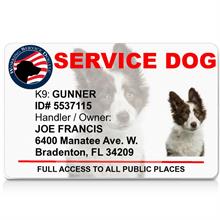 Service Dog ID Card