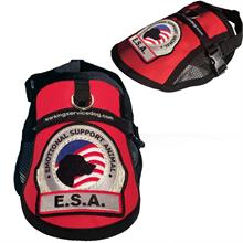 ESA Mesh Vest
