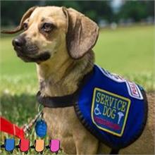 BLUE SERVICE DOG VEST FOR SMALL DOGS