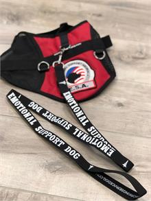 emotional support dog leash esa leash