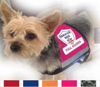 Small Premium Service Dog Vest