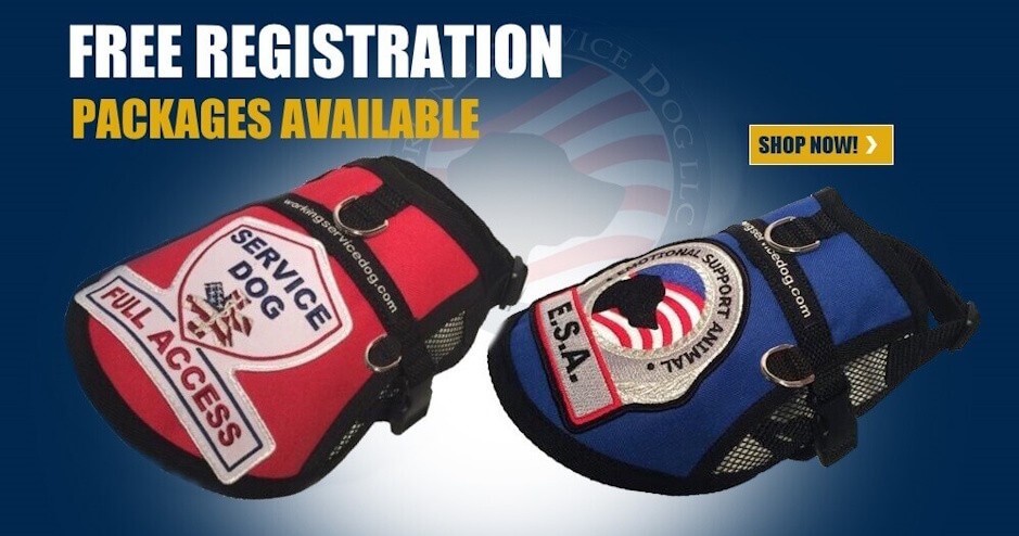 Register your service dog
