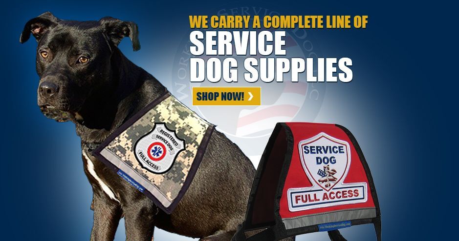 Certified service dog gear